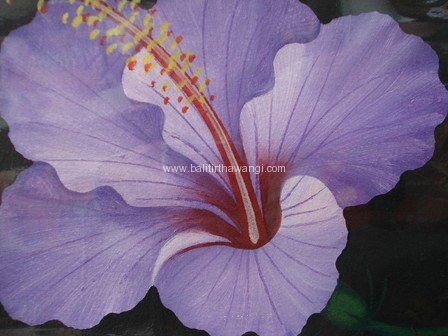 Hibiscus Flower<br>MR043